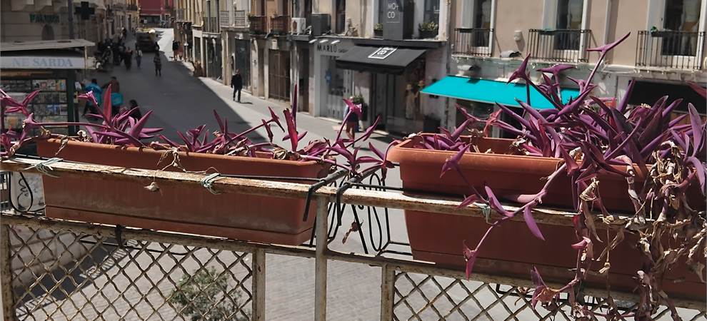 Foto annuncio